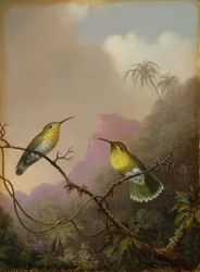 Two Hummingbirds, c.1865-75